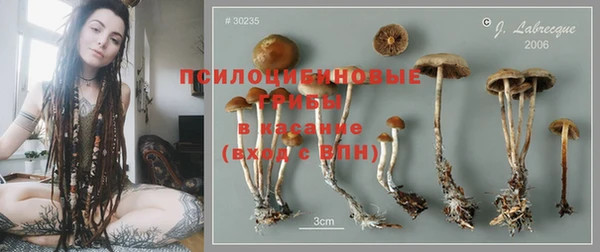мдма Пролетарск