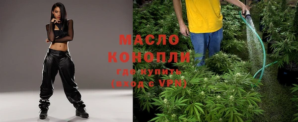 прущая мука Арсеньев