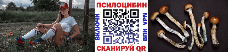 Купить закладки  Выборг  Псилоцибиновые грибы ЛСД 